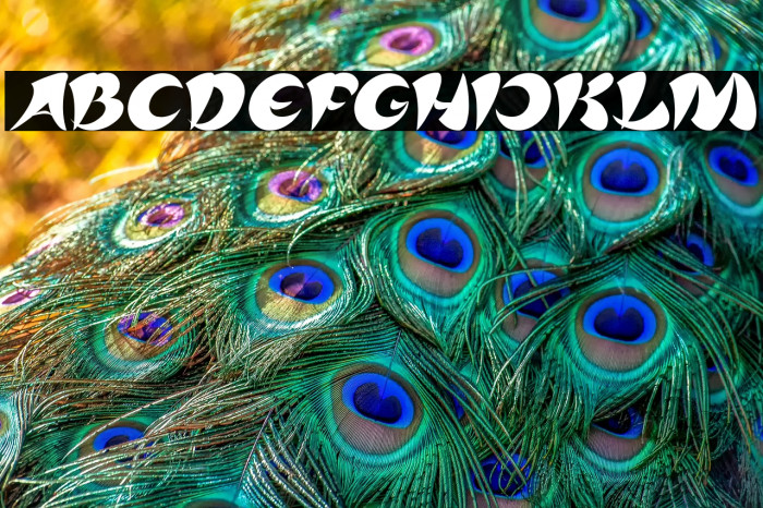 ASIA PACIFIC Italic Example 2