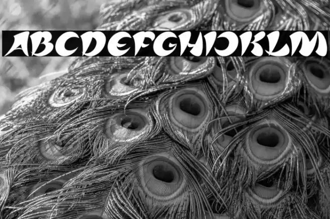 ASIA PACIFIC Italic Font examples