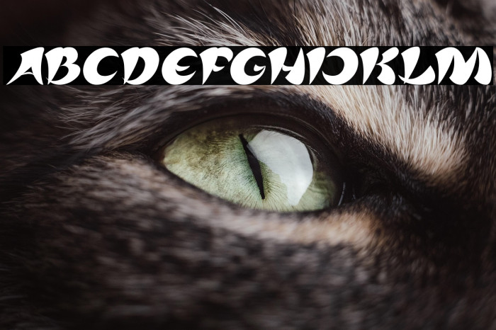 ASIA PACIFIC Italic Example 3