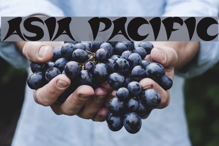 ASIA PACIFIC Font examples