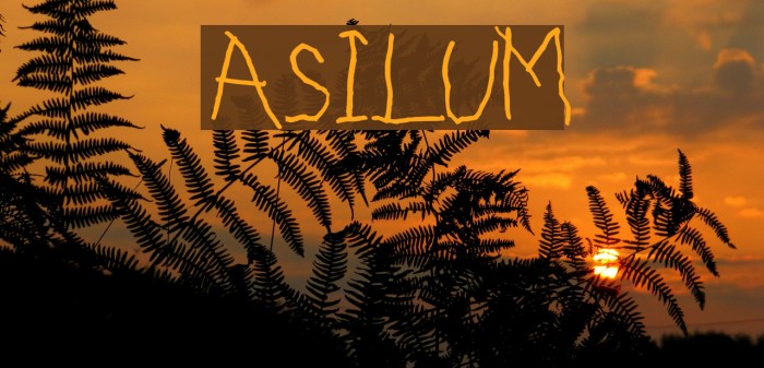 ASILUM Font examples