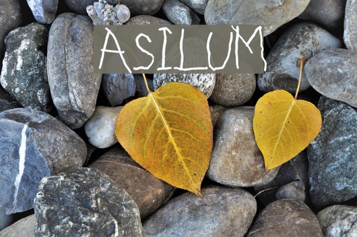 ASILUM Font examples