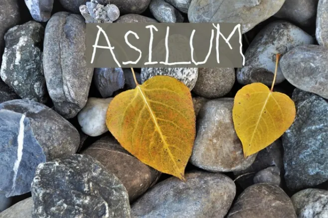 ASILUM Example 2