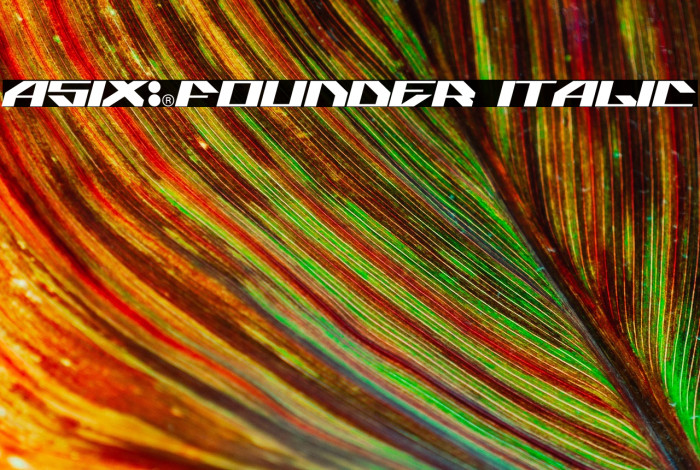 ASIX-FOUNDER Italic Example 1