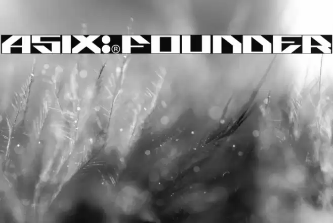 ASIX-FOUNDER Fuentes examples