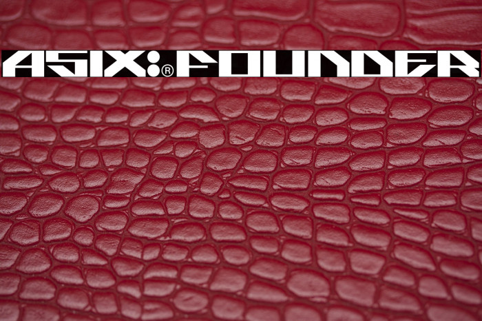 ASIX-FOUNDER Example 2