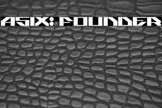 ASIX-FOUNDER Fuentes examples