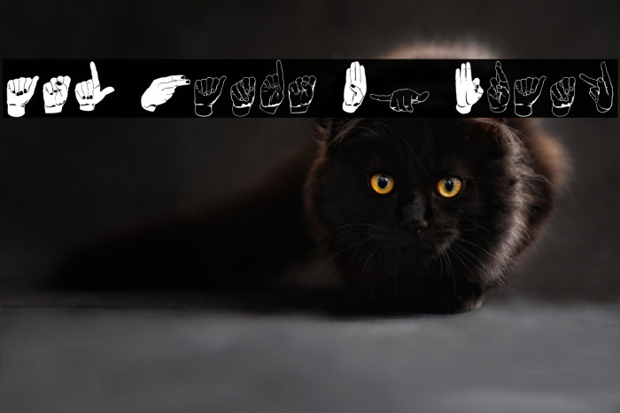 ASL Hands By Frank Example 1