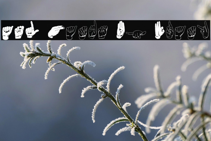 ASL Hands By Frank Example 3