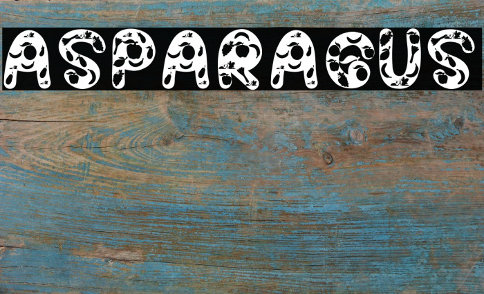 ASPARAGUS Font examples