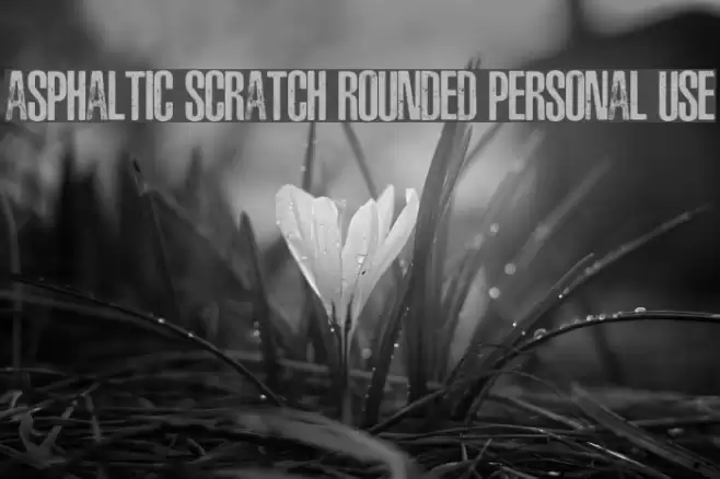 ASPHALTIC SCRATCH ROUNDED PERSONAL USE फ़ॉन्ट examples