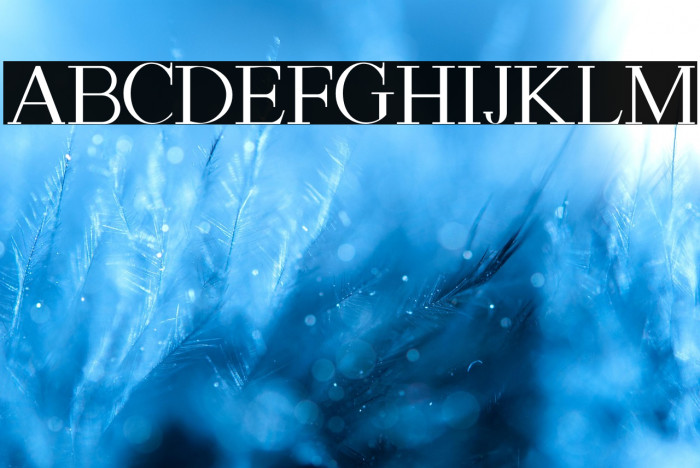 ASTON CALVIN Example 1