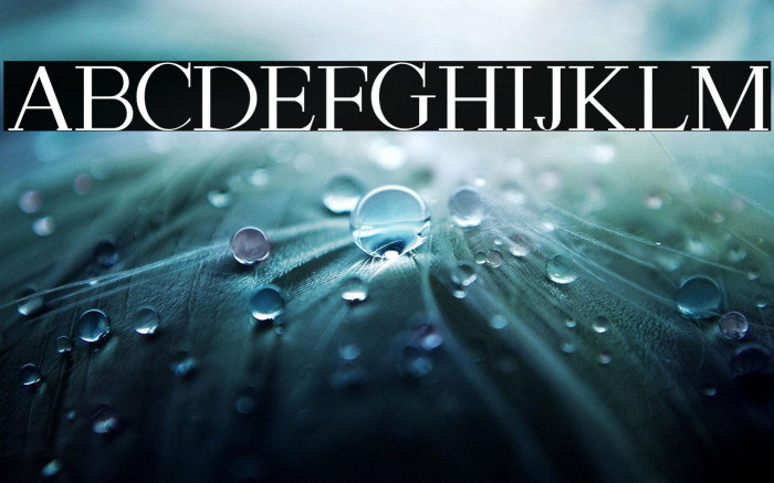 ASTON CALVIN Example 2