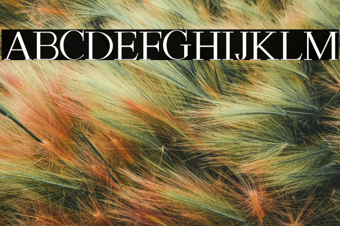 ASTON CALVIN Example 3