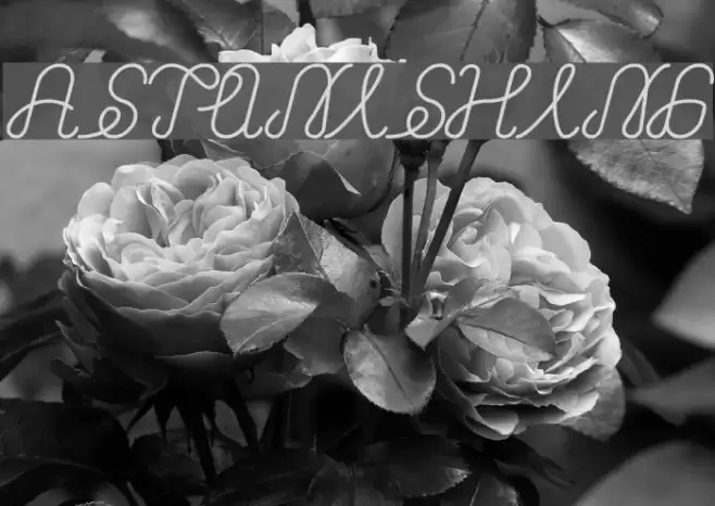 ASTONISHING Font examples