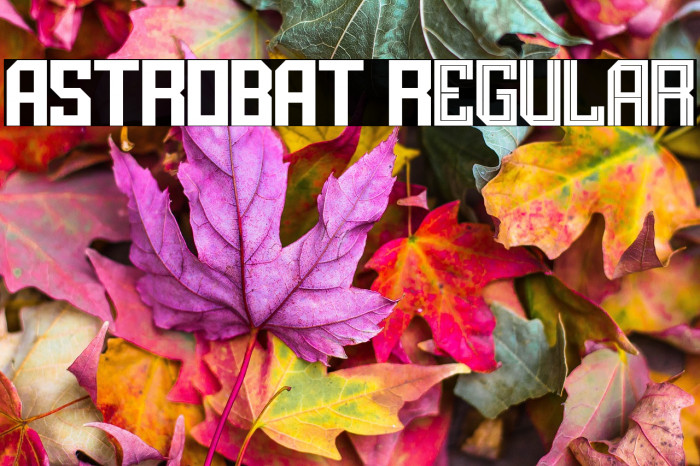 ASTROBAT Regular फ़ॉन्ट examples