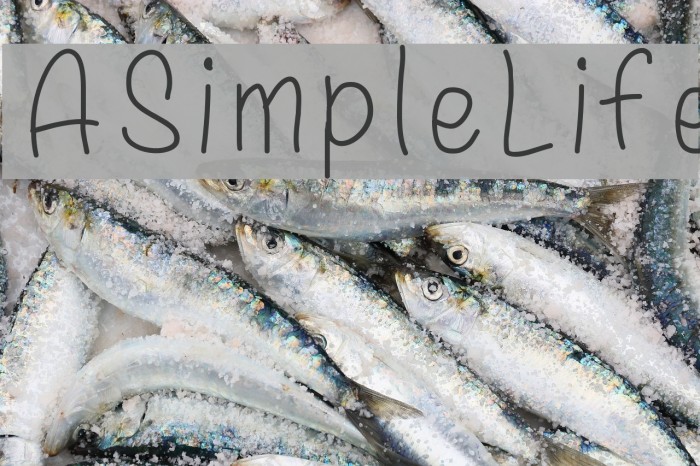 ASimpleLife Font examples