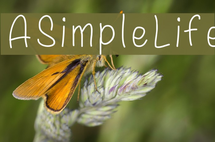 ASimpleLife Font examples