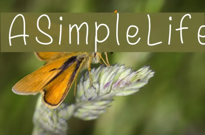ASimpleLife Example 3