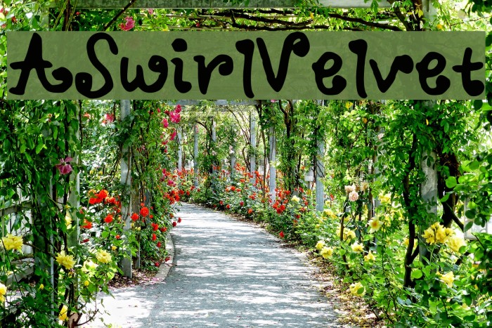 ASwirlVelvet Font examples