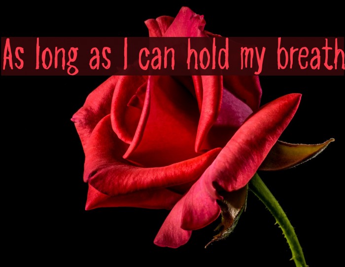 As long as I can hold my breath Font examples