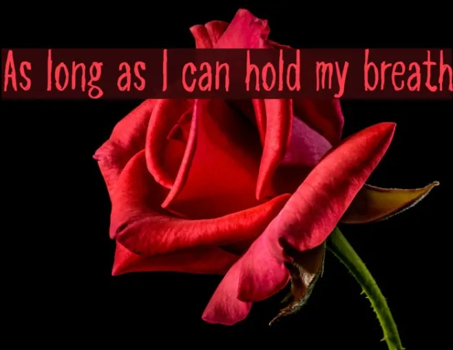 As long as I can hold my breath Example 1