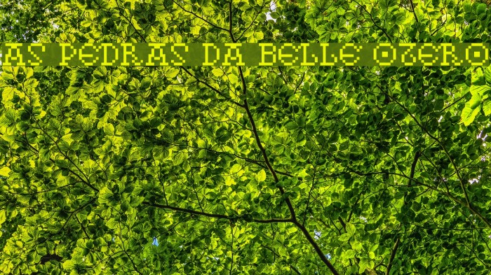 As pedras da Belle Otero Font examples