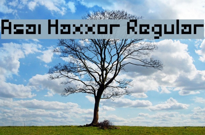 Asai Haxxor Regular Font examples