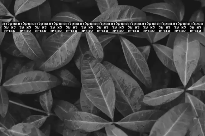 Asakim Font examples