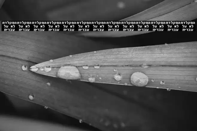 Asakim Font examples