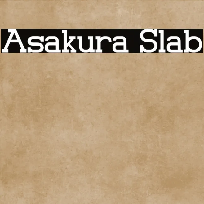 Asakura Slab Example 1