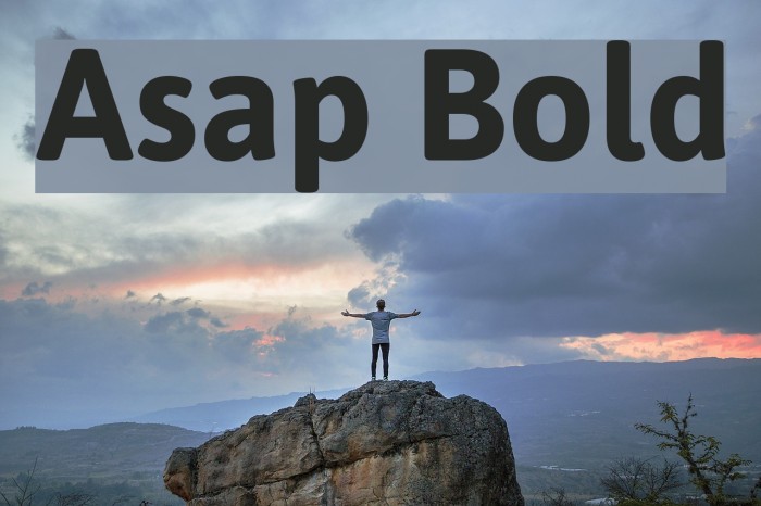 Asap Bold Font examples