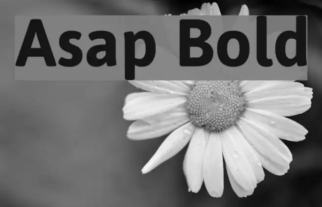 Asap Bold Font examples