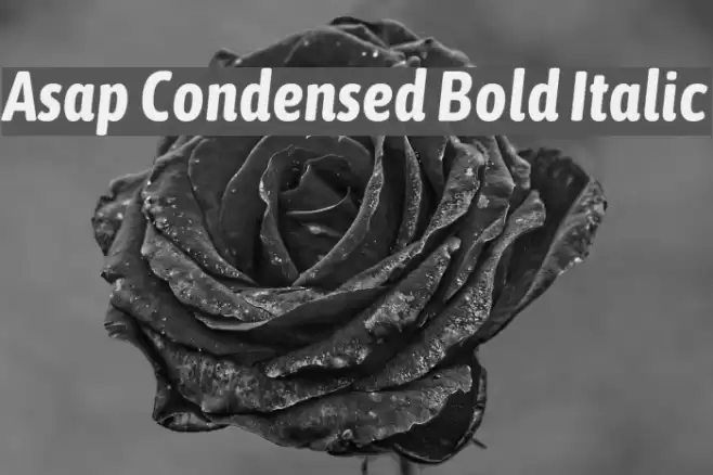 Asap Condensed Bold Italic Font examples