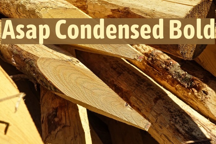 Asap Condensed Bold Font examples