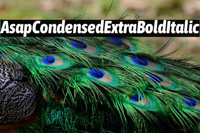 Asap Condensed ExtraBold Italic Example 3