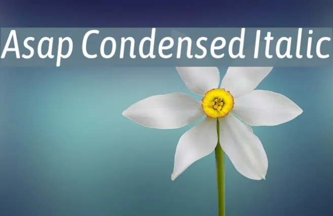 Asap Condensed Italic Example 1