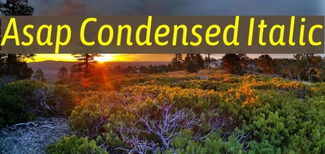 Asap Condensed Italic Example 3