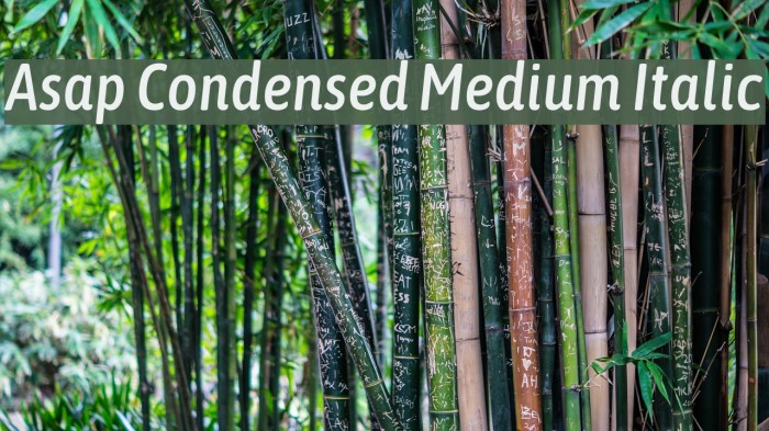 Asap Condensed Medium Italic Font examples