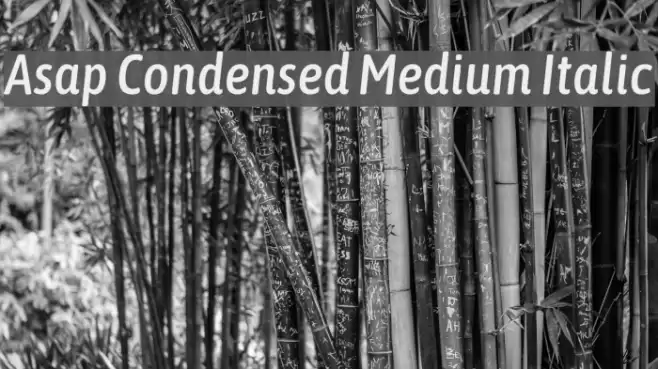 Asap Condensed Medium Italic Font examples