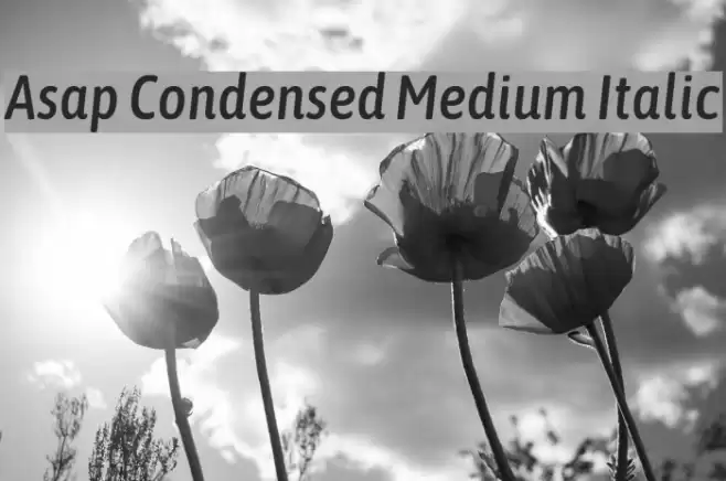 Asap Condensed Medium Italic Font examples