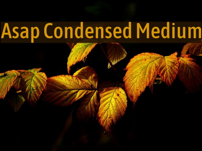 Asap Condensed Medium Font examples