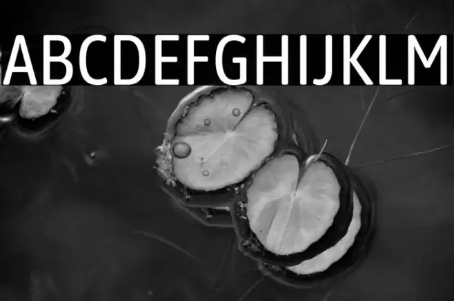 Asap Condensed Regular फ़ॉन्ट examples