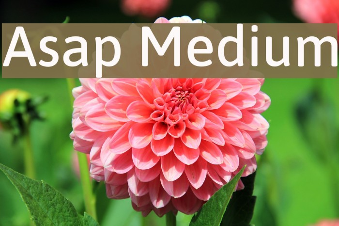 Asap Medium Font examples