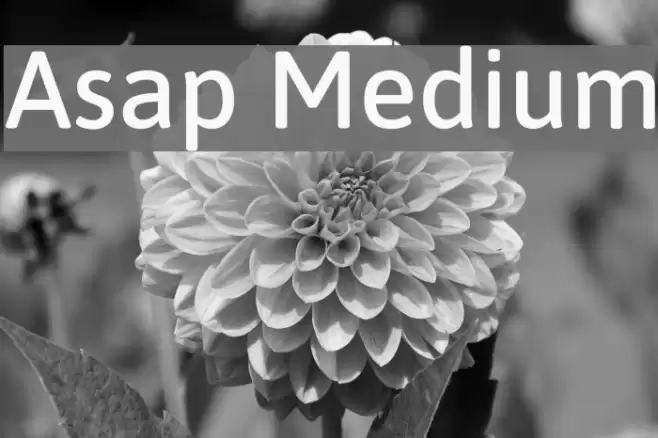 Asap Medium Font examples