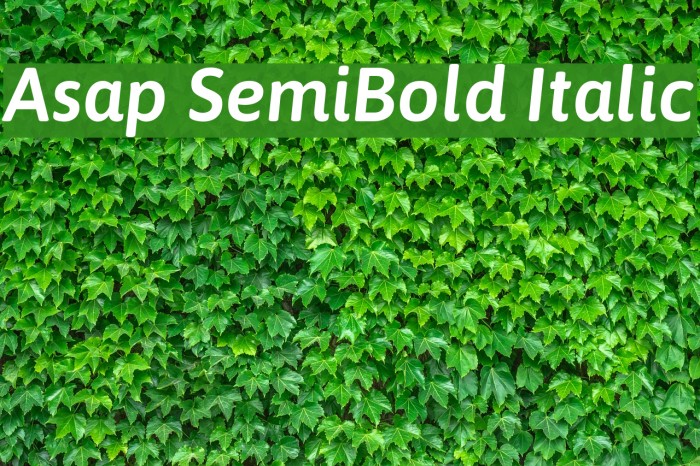 Asap SemiBold Italic Font examples