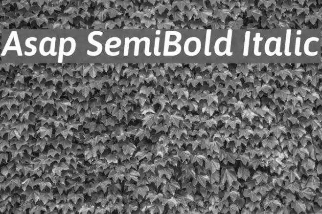 Asap SemiBold Italic  examples