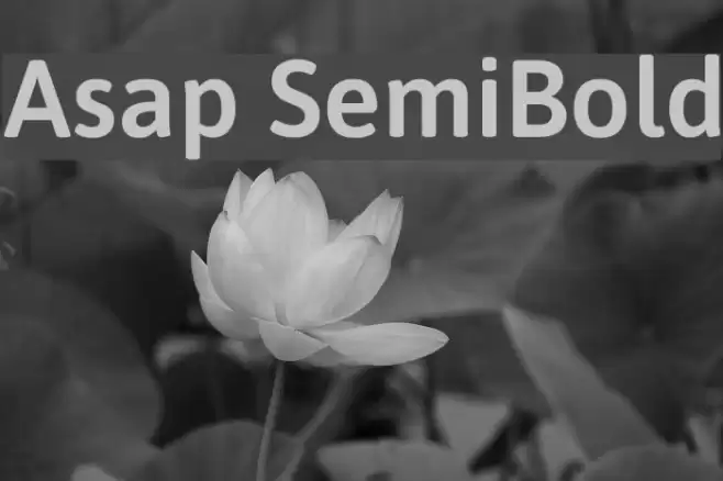 Asap SemiBold Font examples