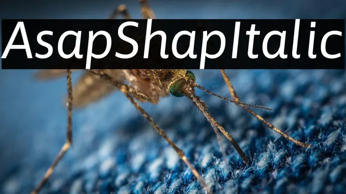 Asap Sharp Italic Example 3