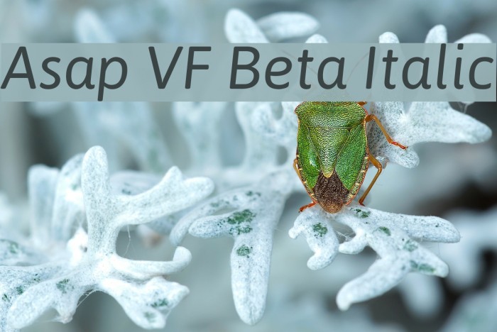 Asap VF Beta Italic Font examples